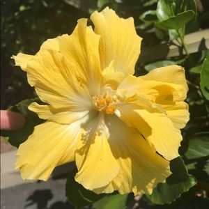 Meet your Posher, May